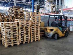 Санкт-Петербург, изображение 11